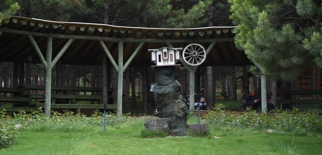 Konya'da Pikniğe Nereye Gidilir? Hangi Park Nerede... 5