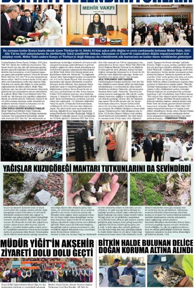 6. Sayfa