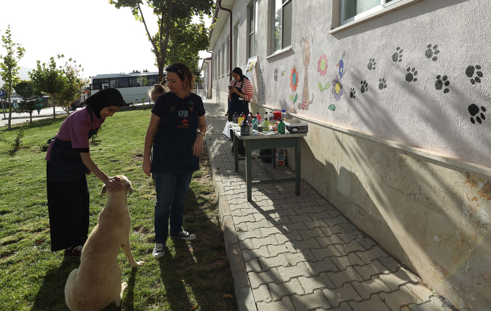 Konya'da hayvan bakımevi renklendirildi