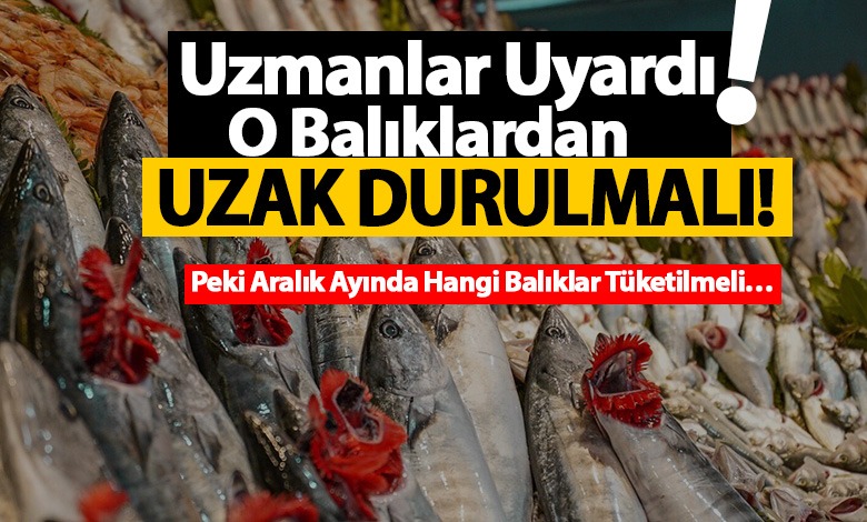 Uzmanlar uyardı... Aralık'ta hangi balıklar yenir? Aralık ayında nasıl balıklar tüketilmeli? İşte tarifler...