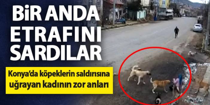 Bir anda etrafını sardılar! Konya'da köpeklerin saldırısına uğrayan kadının zor anları