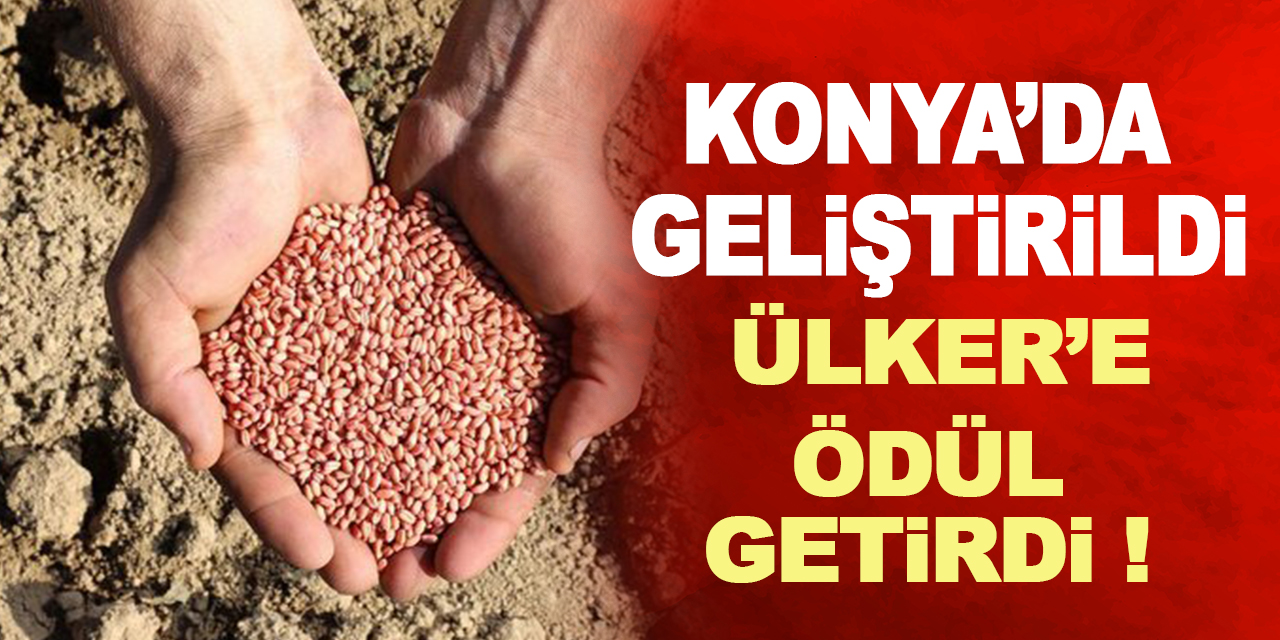 Konya’da geliştirildi, Ülker’e ödül getirdi !