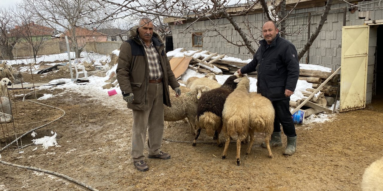 Koyunlarını satıp, depremzedelere yardım ettiler