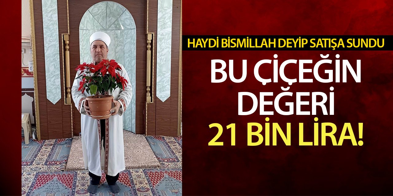 Haydi bismillah deyip satışa sundu! Bu çiçeğin değeri 21 bin lira!