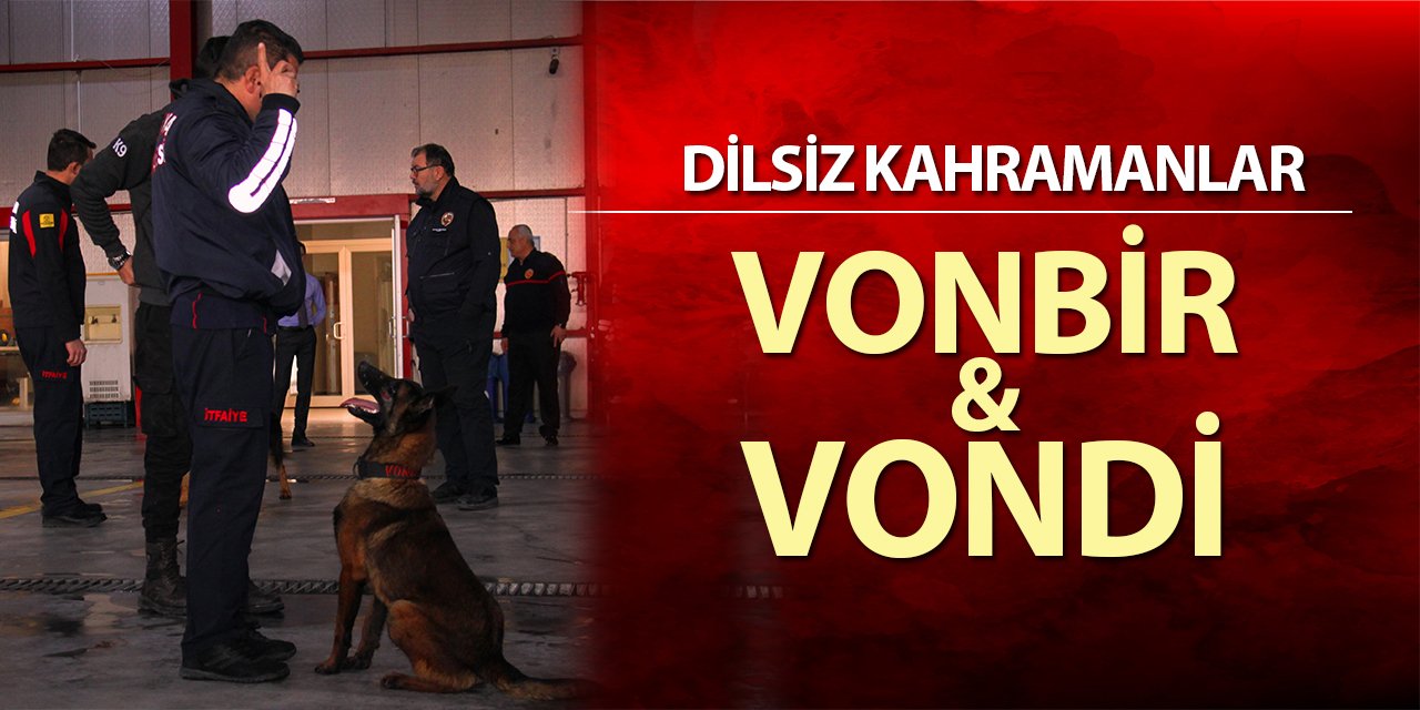 İtfaiye erinin eğittiği arama kurtarma köpekleri 18 kişinin hayatına dokundu