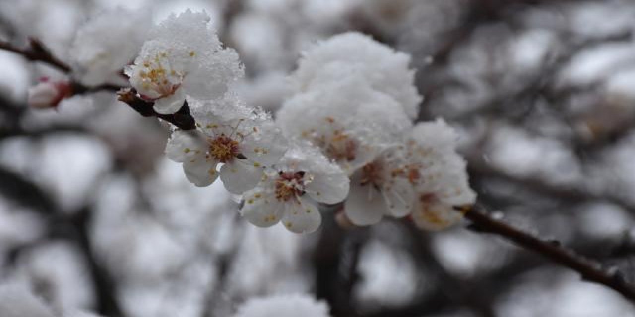 Meteorolojiden zirai don uyarısı