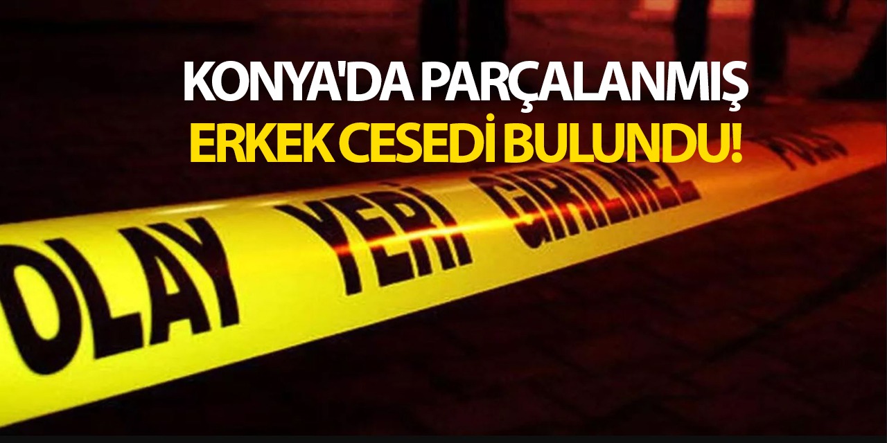 Konya'da Parçalanmış Erkek Cesedi Bulundu!