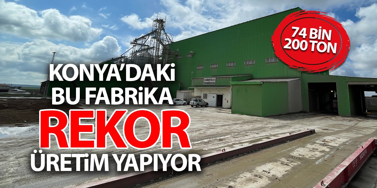 Konya'daki bu fabrika rekor üretim yapıyor! 74 bin 200 ton...