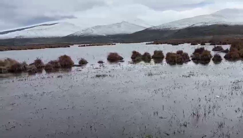 Çıldır Gölü sazlık alandaki su seviyesi arttı