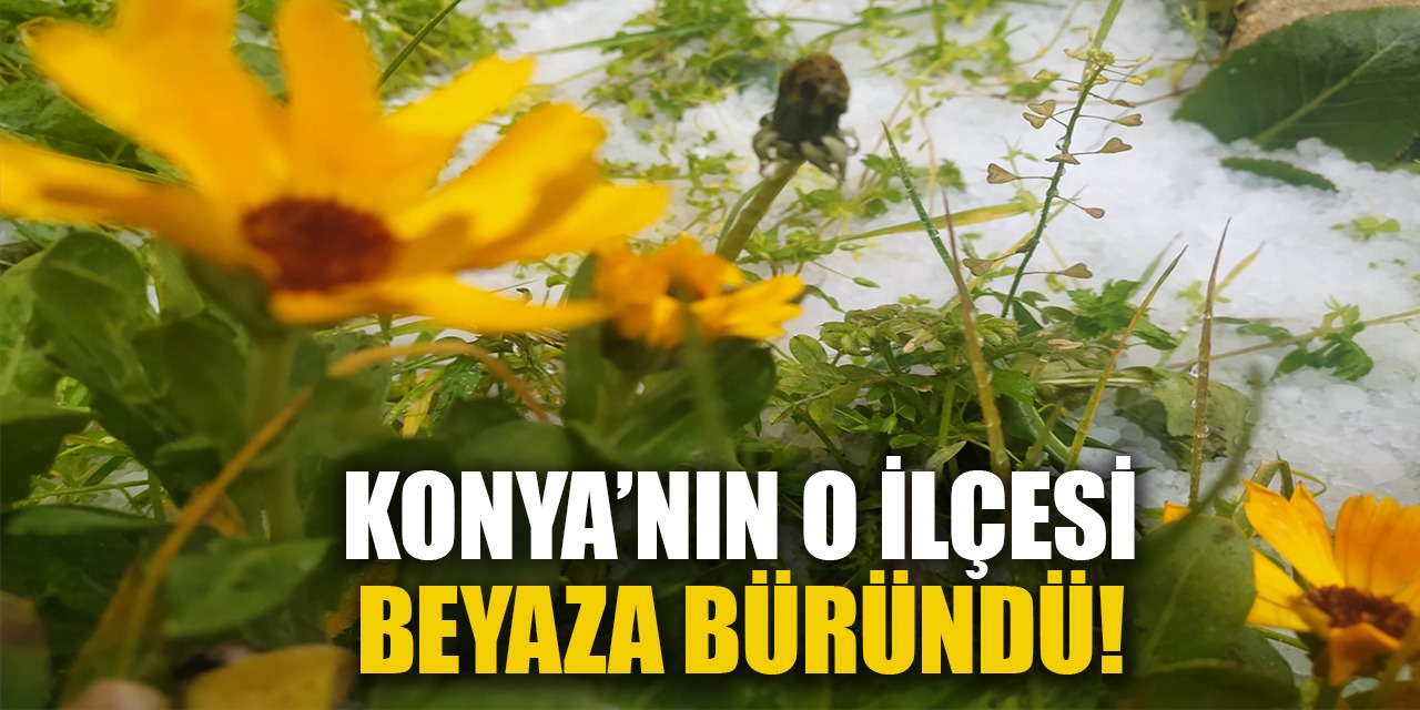 Konya'nın O İlçesi Beyaza Büründü! İşte O Anlar...