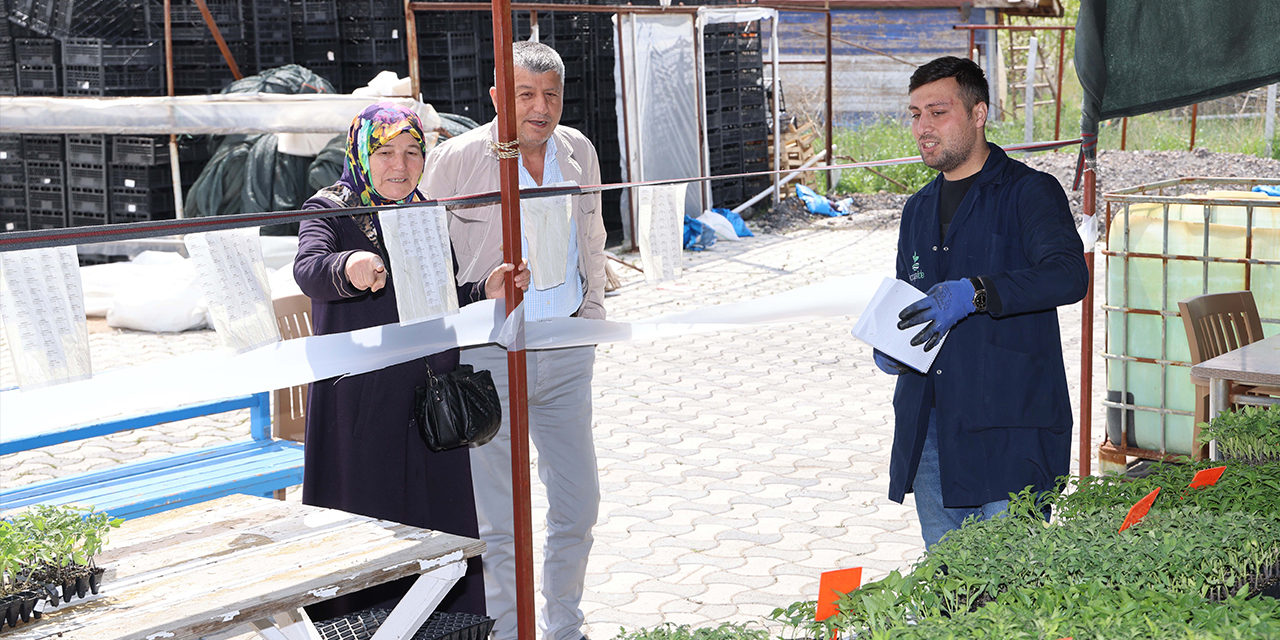 Konya’nın ilk ve tek sebze fidesi üretim merkezinde satışlar başladı