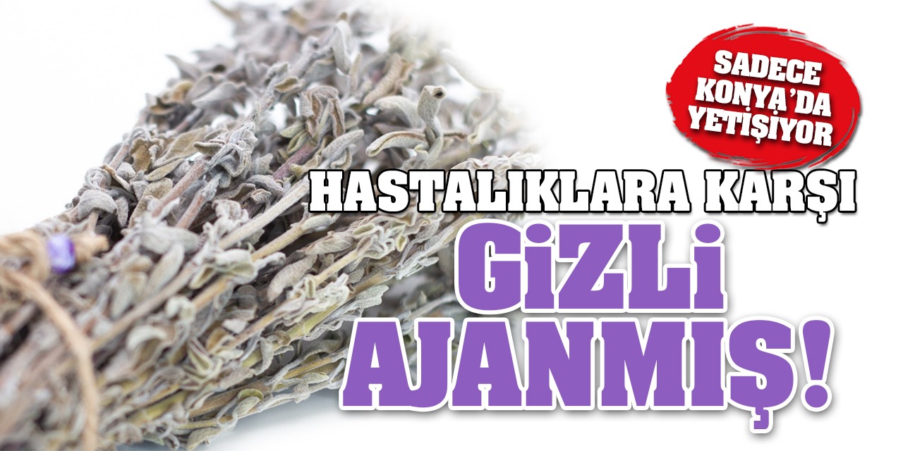 O Bitki Sadece Konya'da Yetişiyor! Hastalıklara Karşı Gizli Ajanmış! İşte O Bitki...