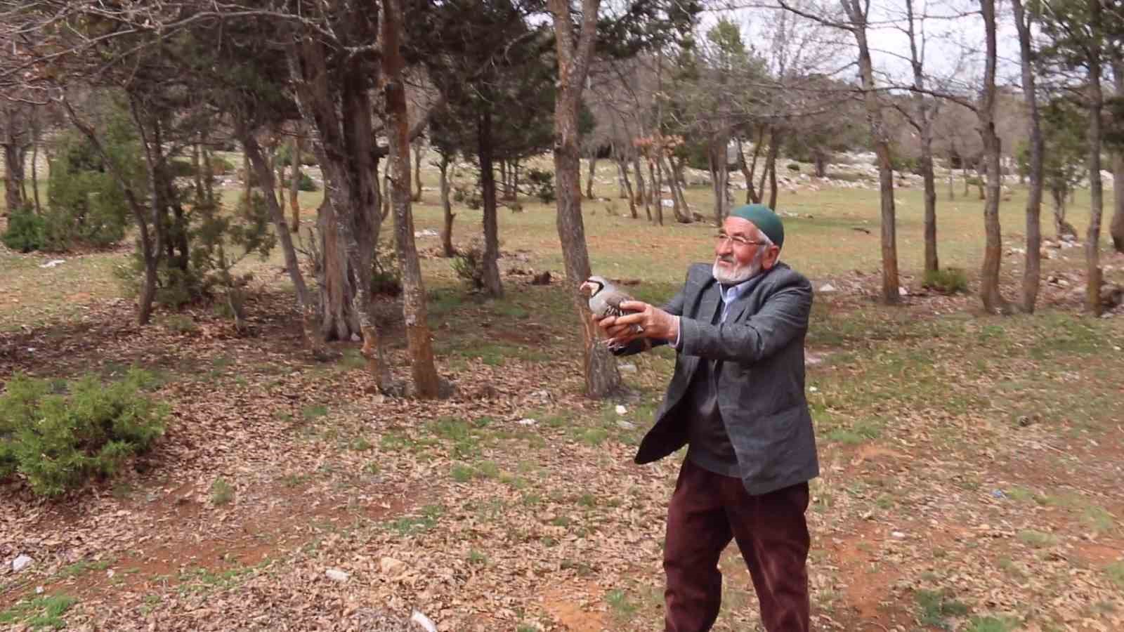 Konya’da kınalı keklikler doğaya salındı