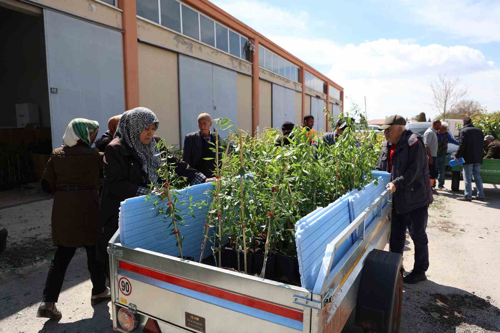 Konya Büyükşehir 31 ilçede ürün çeşitliliğini artırmak için çiftçiye destek oluyor