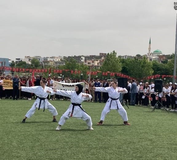 Çınar’da milli sporcular gösteri düzenledi