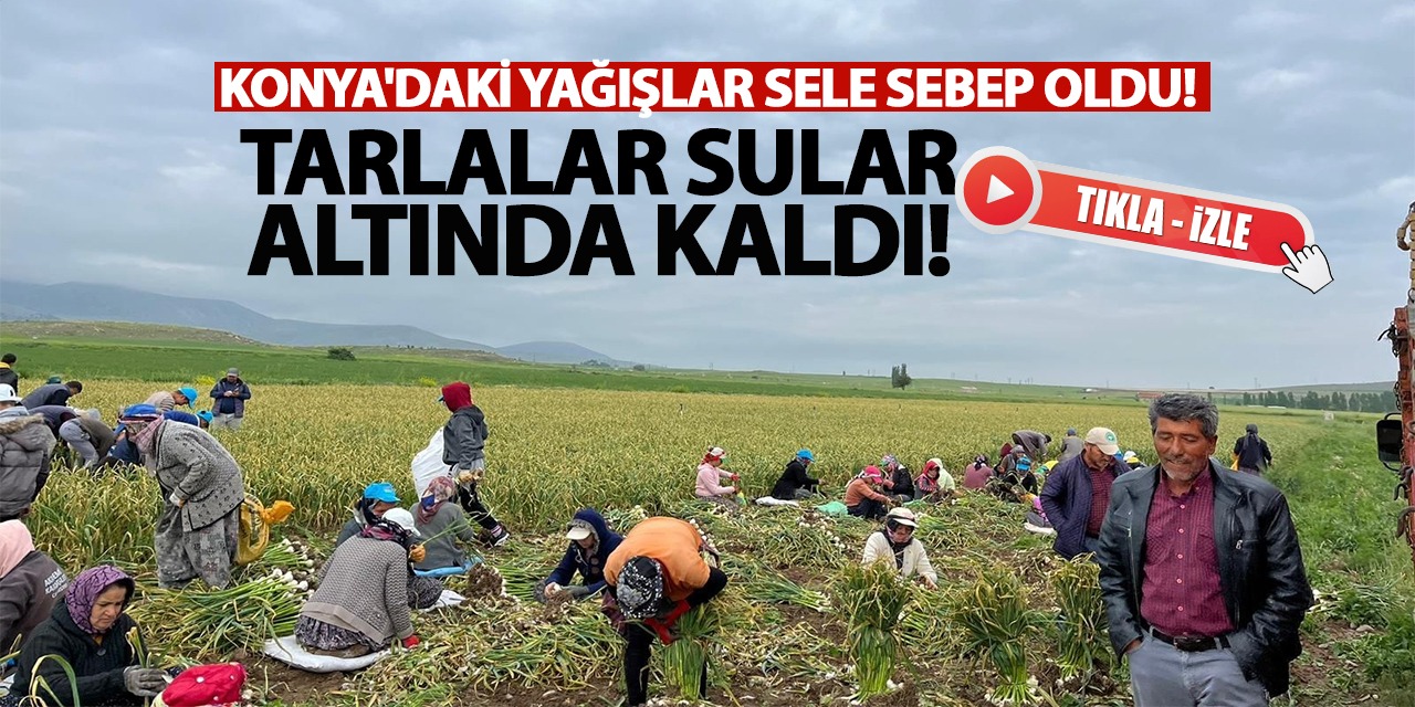 Konya'daki Yağışlar Sele Sebep Oldu! Tarlalar Sular Altında Kaldı! İşte O Anlar...(tıkla-izle)