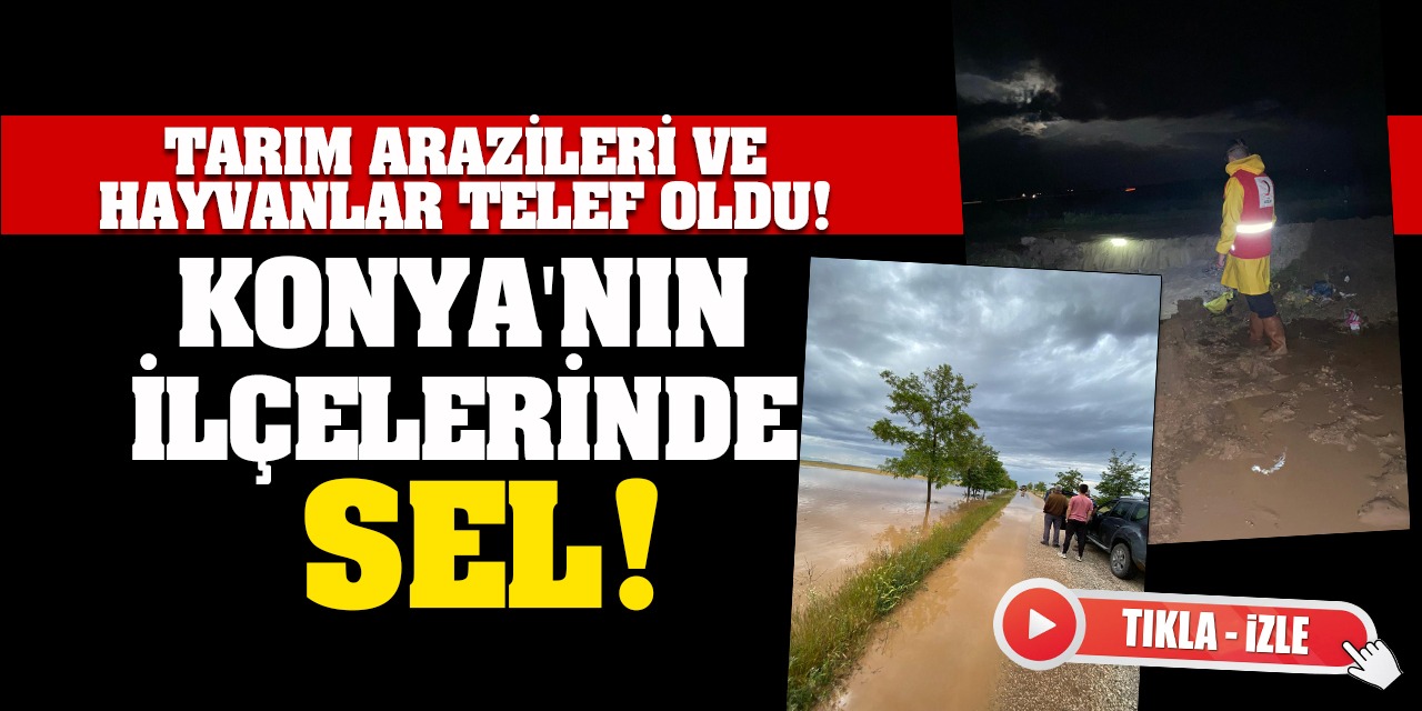 Konya'nın Üç İlçesinde Sel! Tarım Arazileri Ve Hayvanlar Telef Oldu! (tıkla-izle)