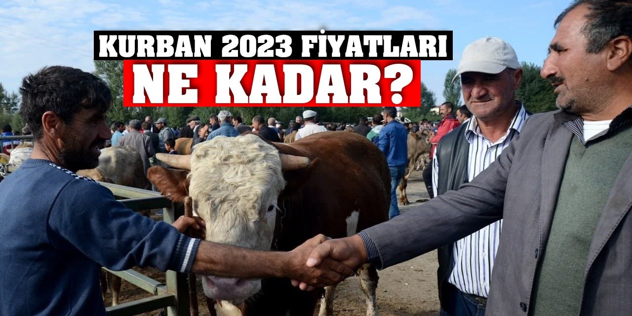 Kurban Fiyatları 2023 fiyatları ne kadar? Kurban fiyatları ne kadar, kaç TL?