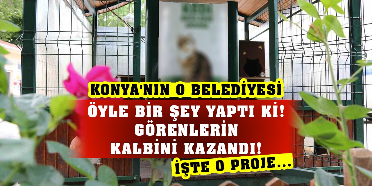 Konya'nın O Belediyesi Öyle Bir Şey Yaptı ki! Görenlerin  Kalbini Kazandı! İşte O Proje...