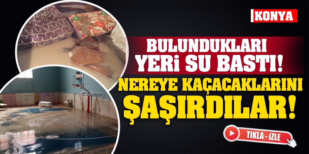 Bulundukları Yeri Su Bastı! Nereye Kaçacaklarını Şaşırdılar! (tıkla-izle)