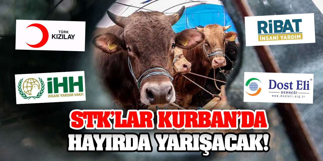 Konya'da kurban ve bayramlık yardımı