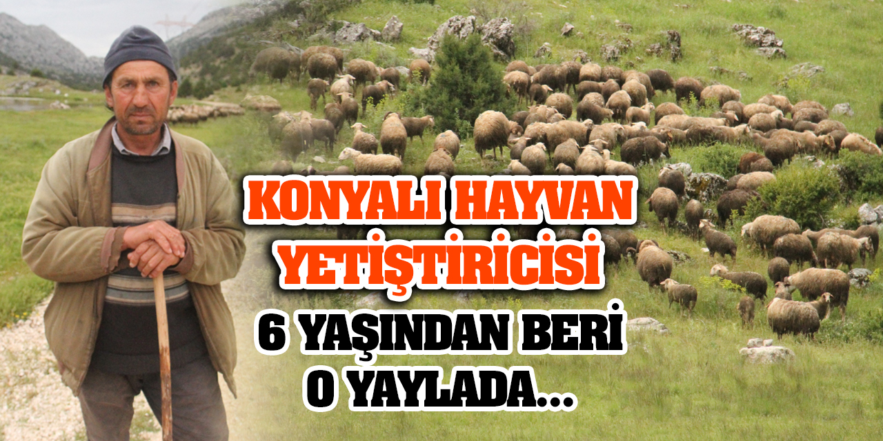 Konyalı hayvan yetiştiricisi, 6 yaşından beri o yaylada...