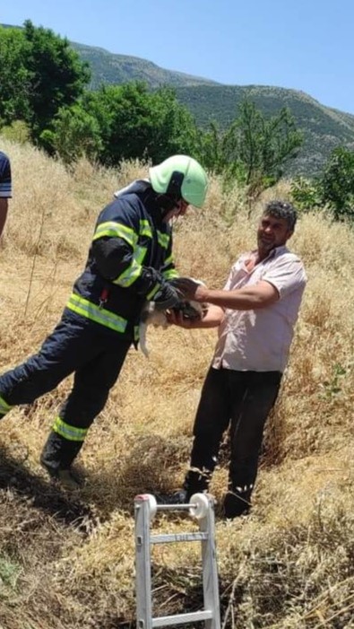 10 metrelik kuyuya düşen köpek güçlükle kurtarıldı