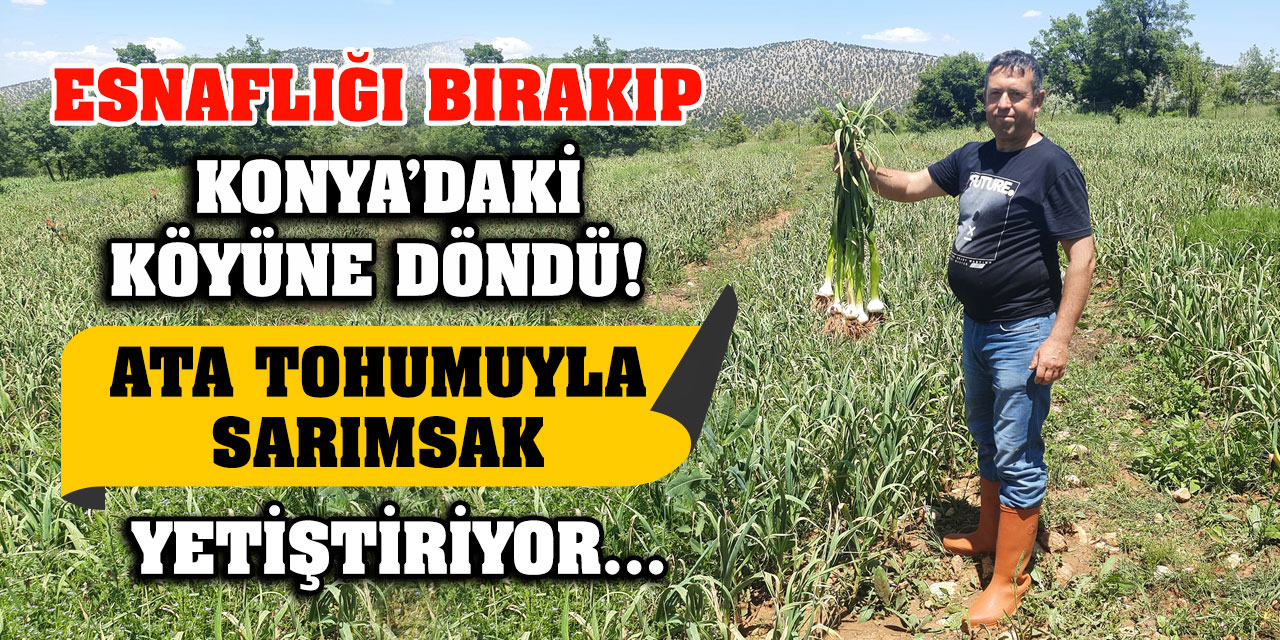 Esnaflığı bırakıp Konya’daki köyüne döndü! Ata tohumuyla sarımsak yetiştiriyor…