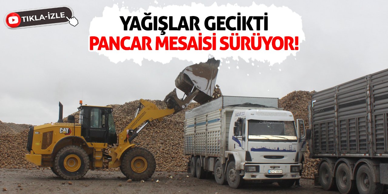 Yağışlar Gecikti, Pancar Mesaisi Sürüyor!