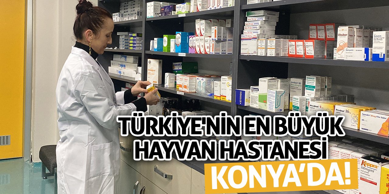 Türkiye'nin en büyük hayvan hastanesi Konya’da