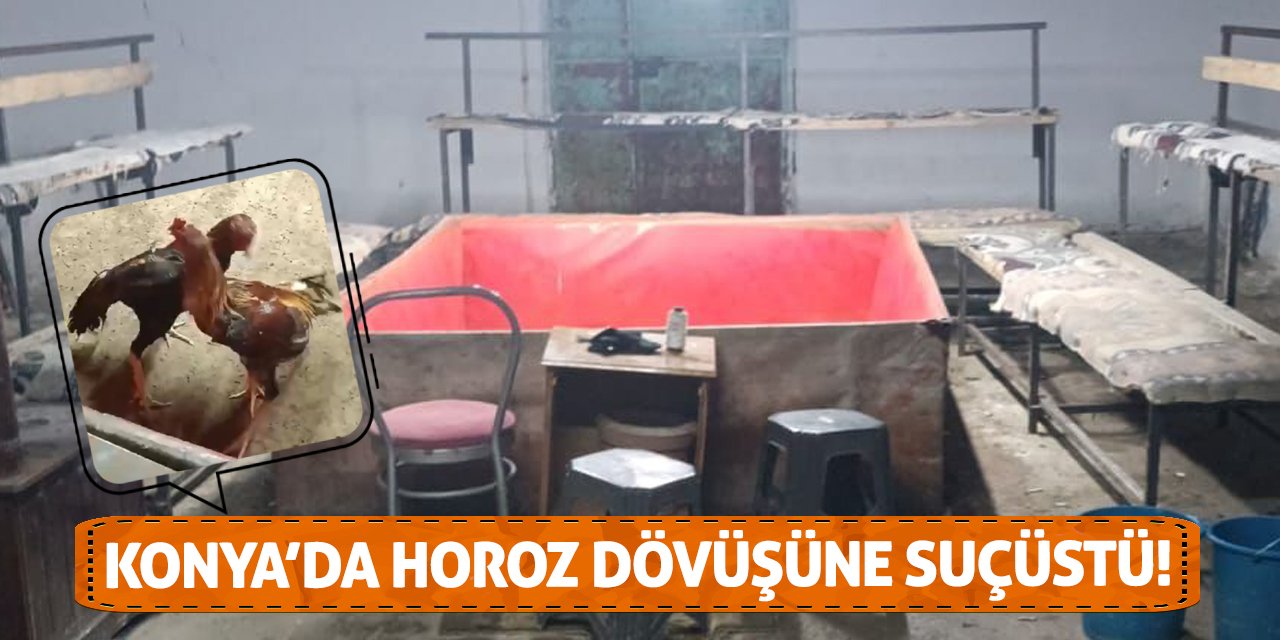 Konya’da horoz dövüşüne suçüstü!