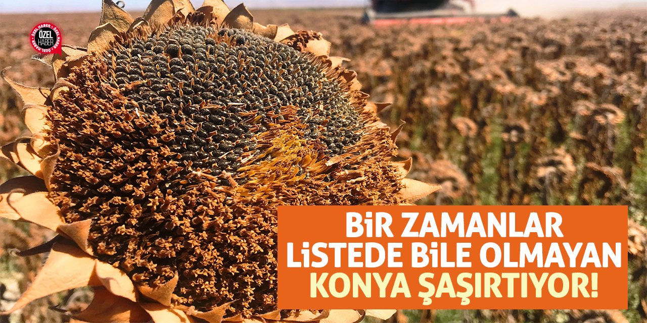 Bir Zamanlar Listede Bile Olmayan Konya Şaşırtıyor!