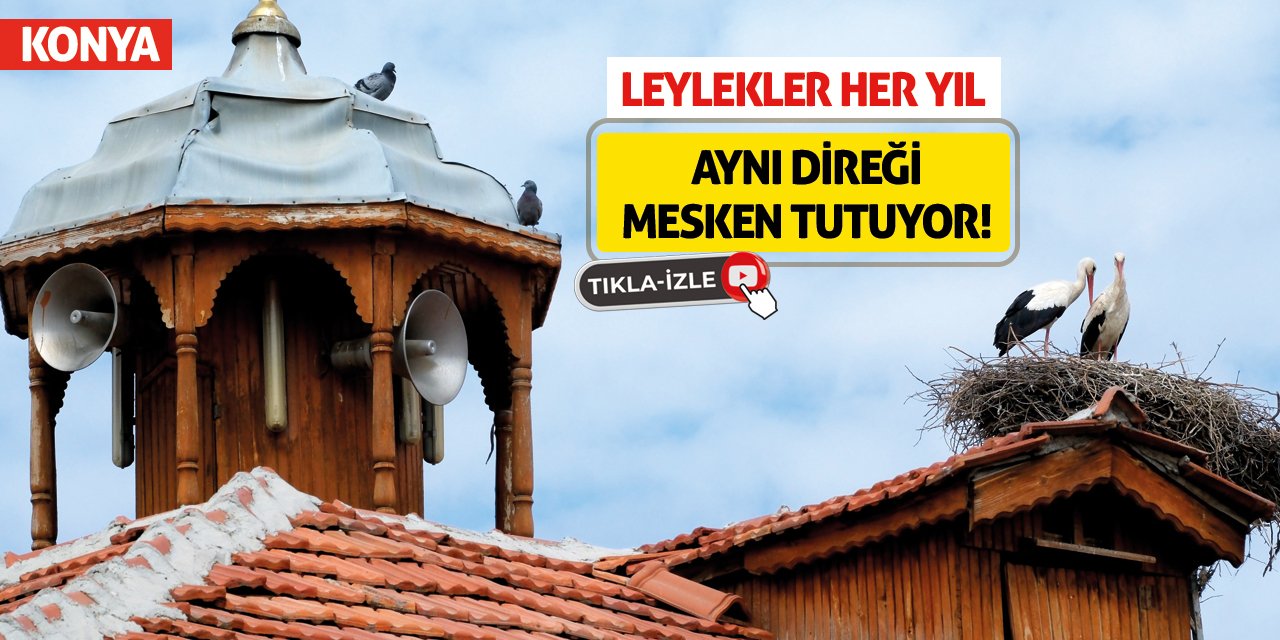 Leylekler Her Yıl Aynı Direği Mesken Tutuyor!