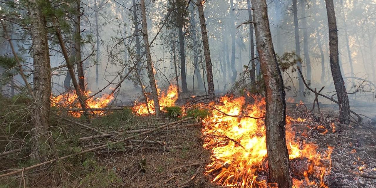 Orman yangınlarında yapay zeka dönemi