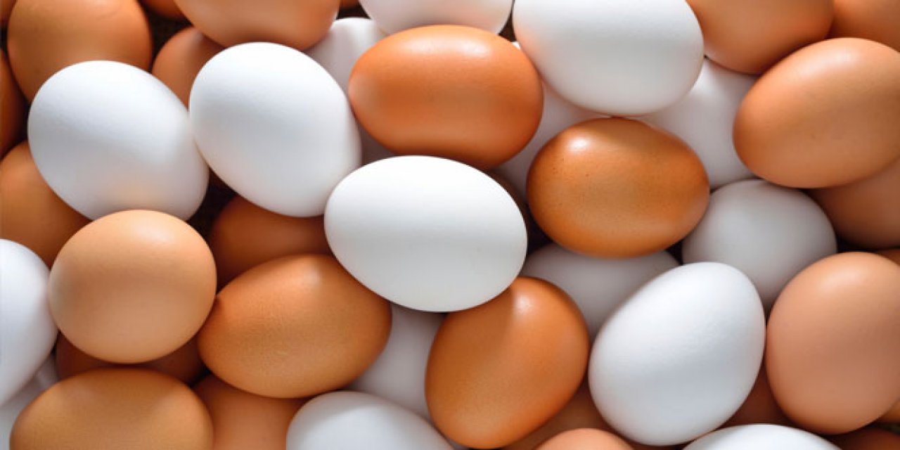Yumurta bayat mı taze mi? İşte yumurtanın taze olup olmadığını anlamanın yolları