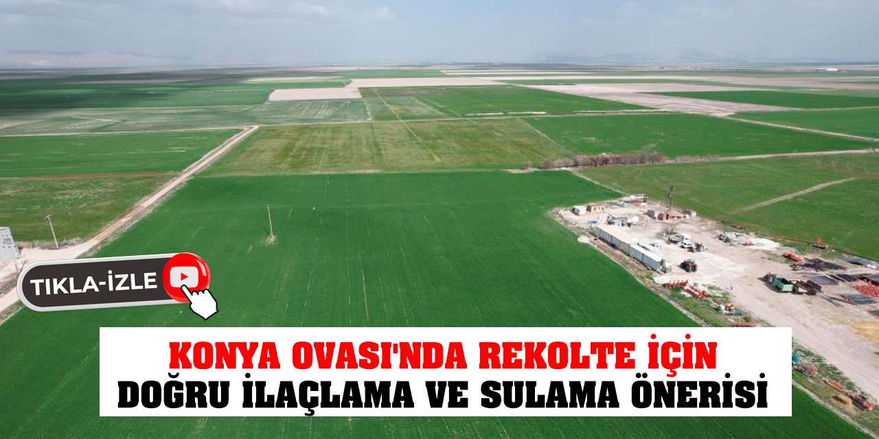 Konya Ovası'nda Rekolte için doğru ilaçlama ve sulama önerisi