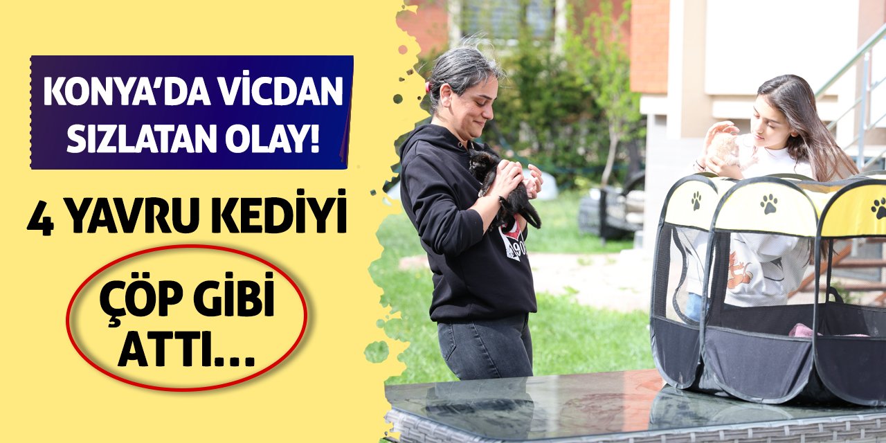 Konya’da Vicdan Sızlatan Olay! 4 Yavru Kediyi Çöp Gibi Attı…