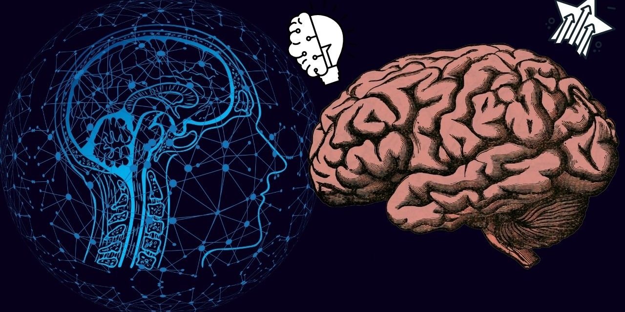 Beyni geliştiren ve hafızayı güçlendiren 11 besin. Hafızaya olumlu etkileri bulunuyor
