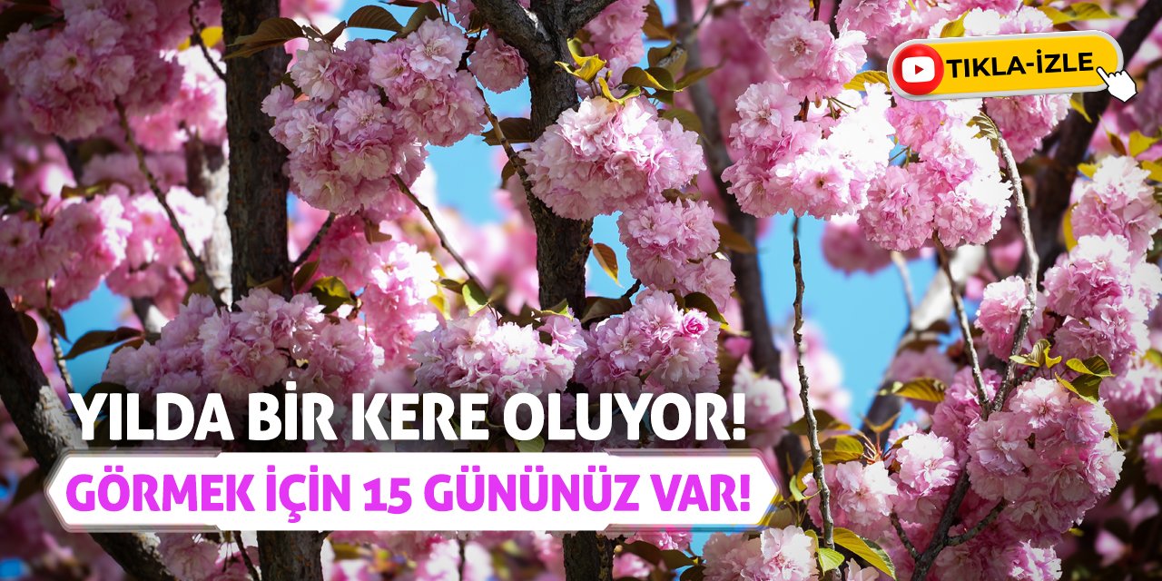 Yılda Bir Kere Oluyor! Görmek İçin 15 Gününüz Var!