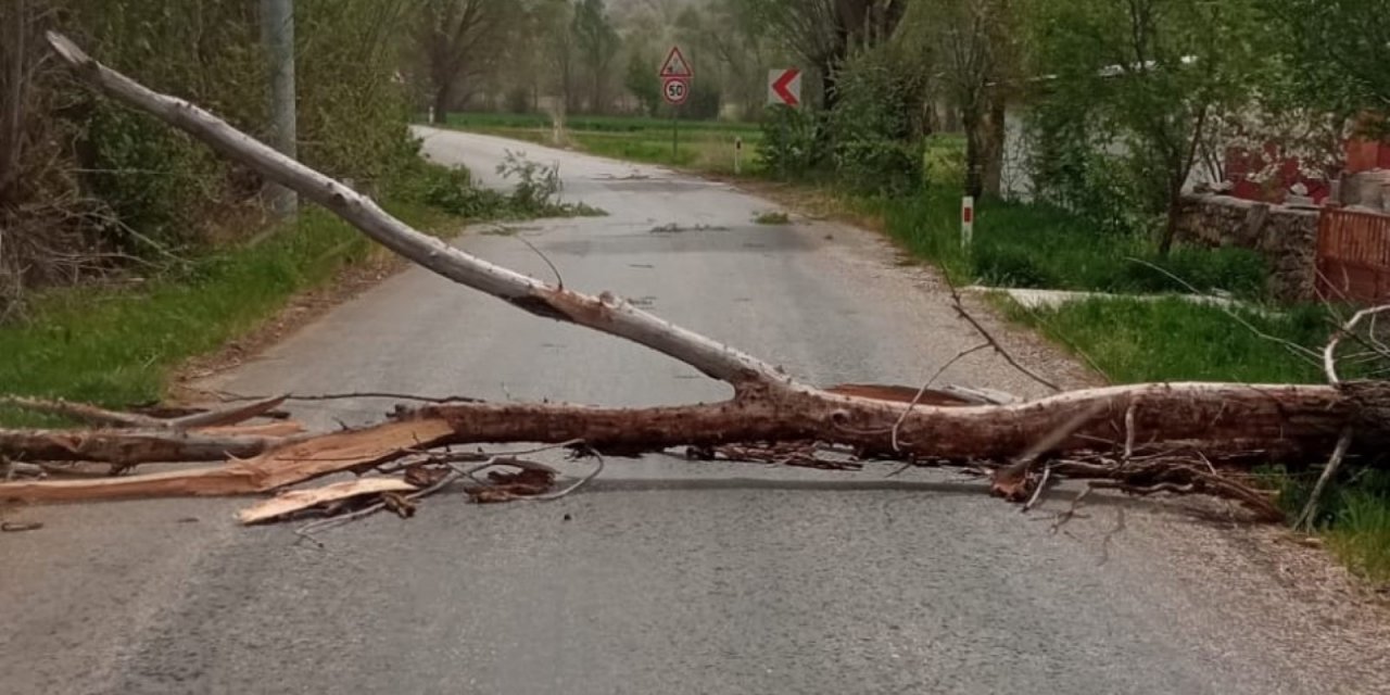 Konya'da devrilen ağaç yolu kapattı