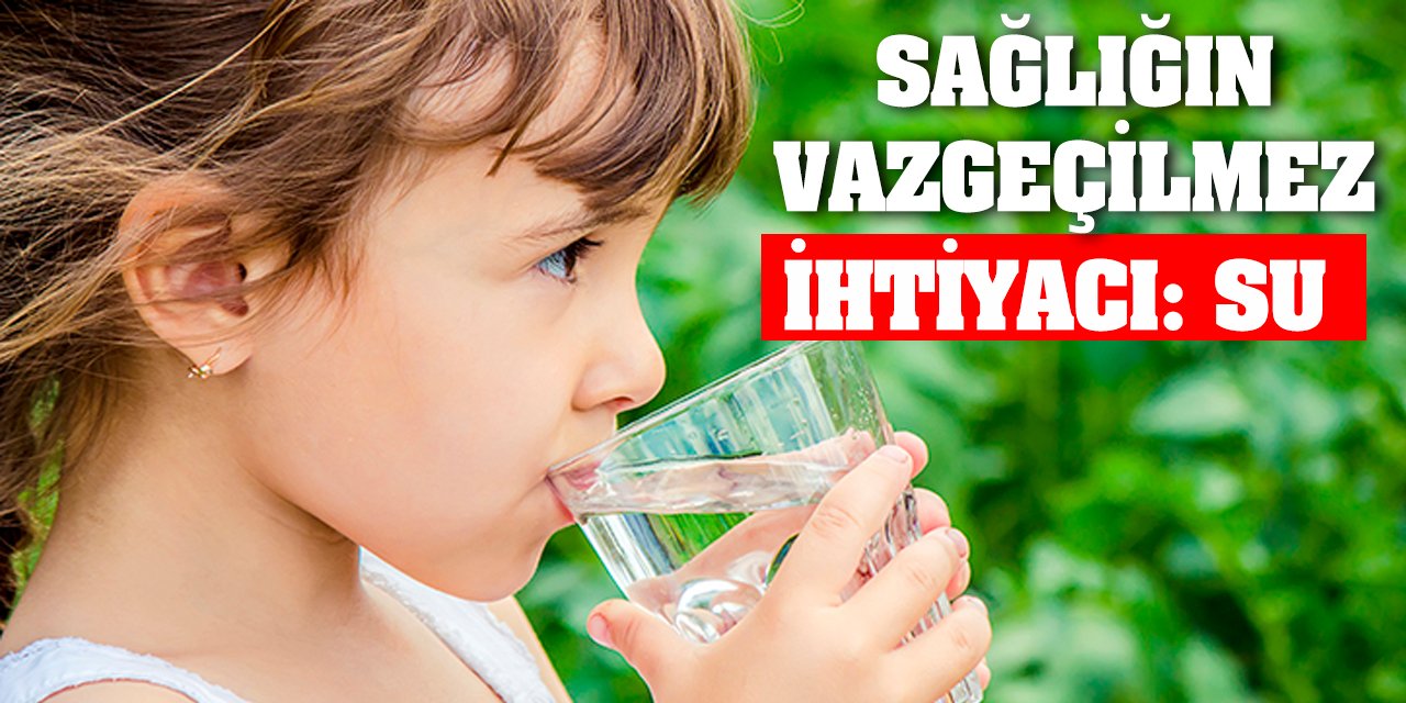 Sağlığın Vazgeçilmez İhtiyacı: Su