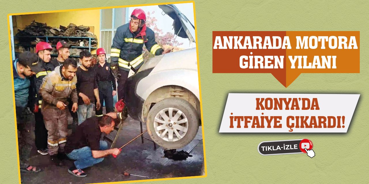 Ankara'da Motora Giren Yılanı Konya'da İtfaiye Çıkardı!