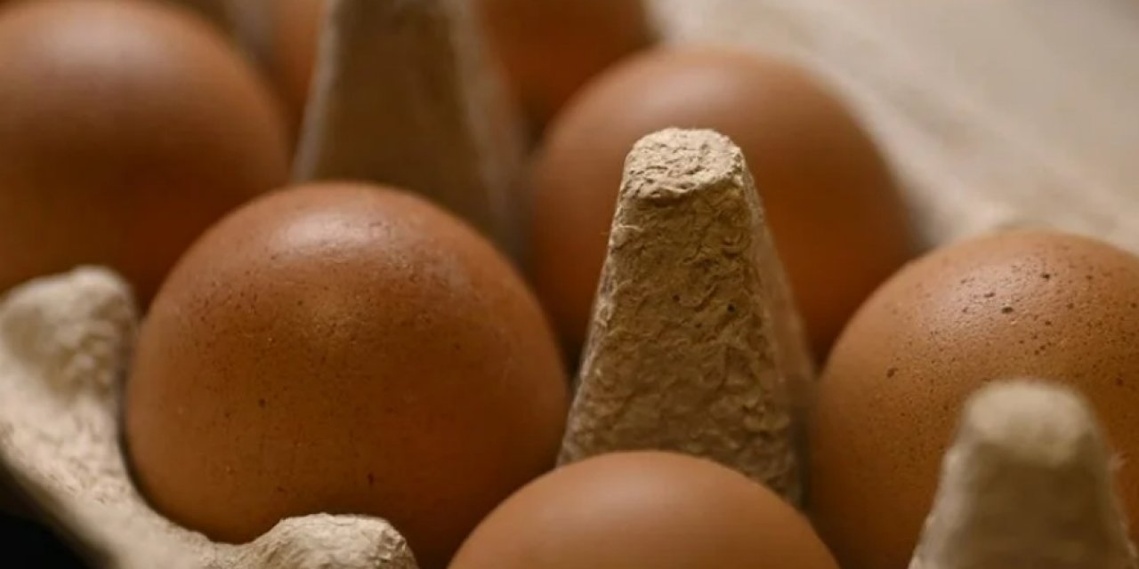 Yumurta fiyatları mayıs çukuru'na yuvarlandı