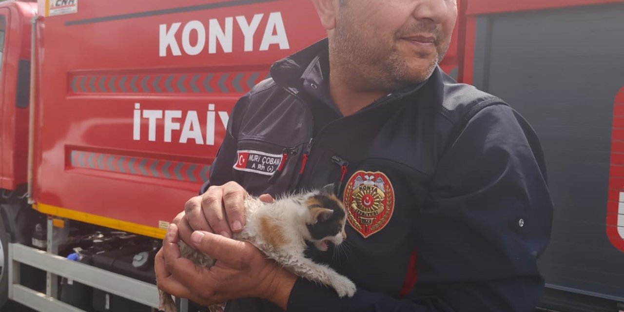 Konya’da otomobilin motoruna sıkışan kedi kurtarıldı