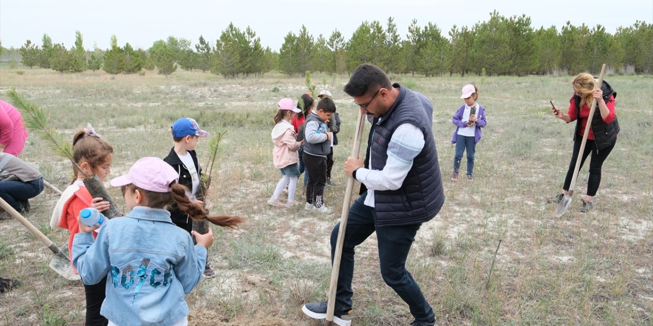 Konya'da öğrenciler 'İlk Sınıfım, İlk Fidanım' projesiyle çam dikti