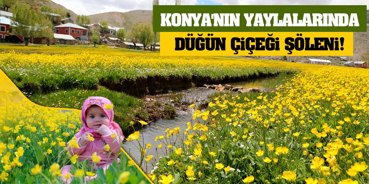 Konya'nın yaylalarında düğün çiçeği şöleni!