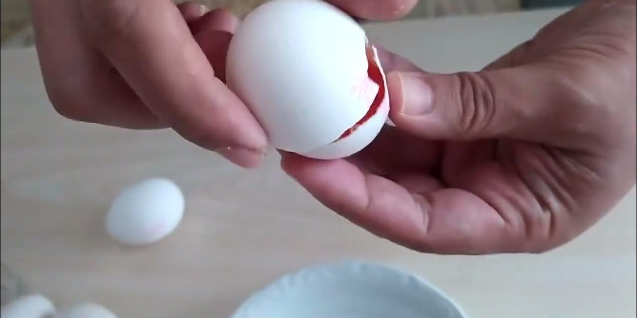 Bozuk yumurtalara dikkat: İşte bozuk yumurtayı anlamaya yarayacak yöntem