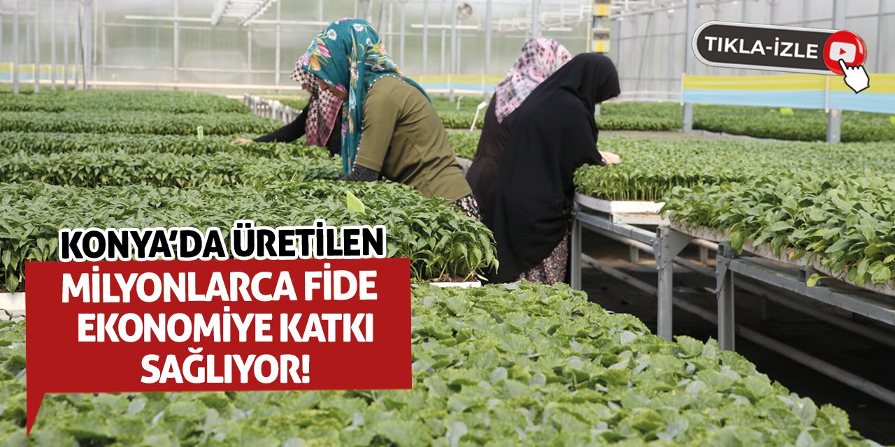 Konya'da Üretilen Milyonlarca Fide Ekonomiye Katkı Sağlıyor!