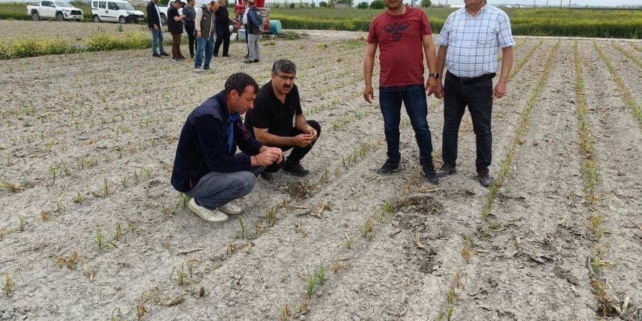 Konya'da ekili alanlarda incelemeler sürüyor