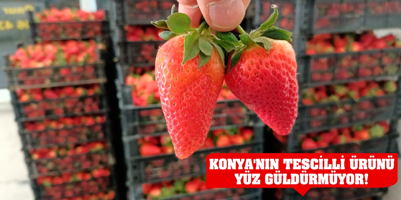 Konya'nın tescilli ürünü yüz güldürmüyor!